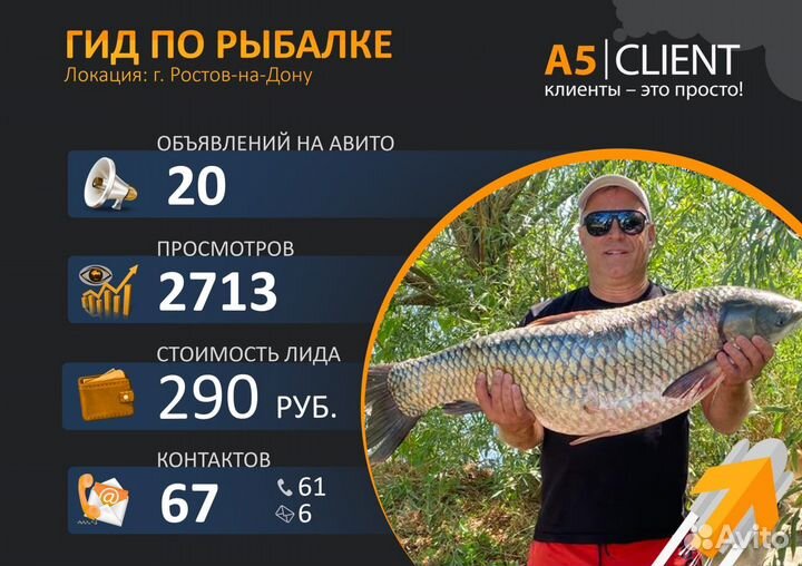 Авитолог / Услуги авитолога