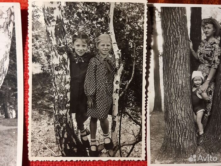 Фото«дупло» 1940/50е. годы СССР 7 штук