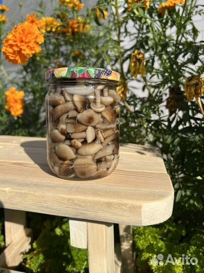 Белые грибы маринованные