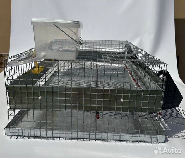 Клетка для 50 перепелов