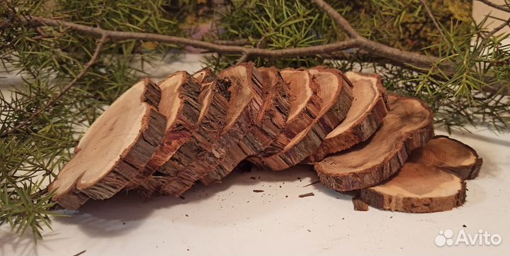 Спилы можжевельника (набор для творчества)