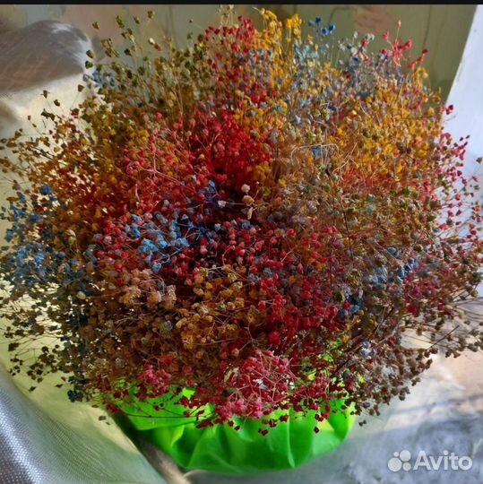 Сухоцветы для творчества гипсофила ворсянка