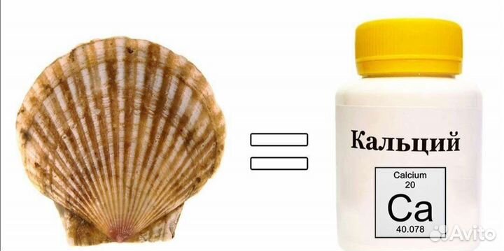 Подкормка кальций для улиток