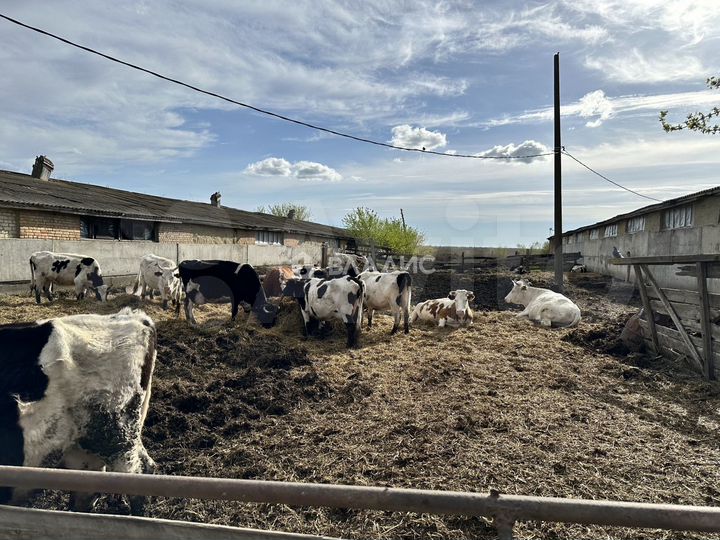 Продам помещение свободного назначения, 1500 м²