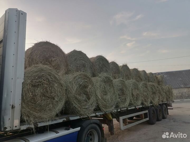 Продам сено в рулонах