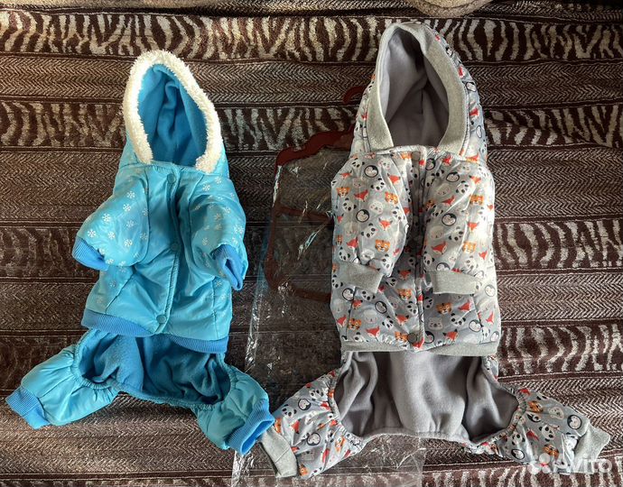 Лоток,шлейка,комбинезон