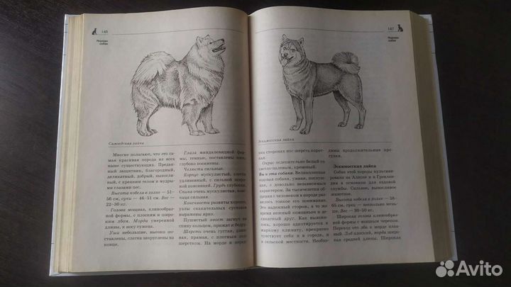 Энциклопедия о собаках