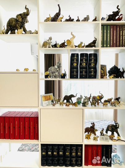 Коллекция монет