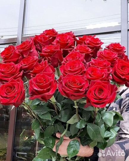 Высокие розы