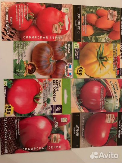 Помидор рассада 80 сортов. Коллекционные