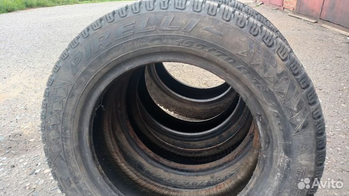 Pirelli Winter 160 Studdable Plus 155/70 R13