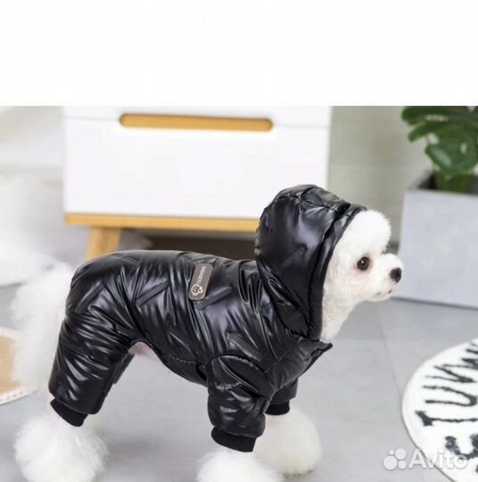 Комбинезон для собак