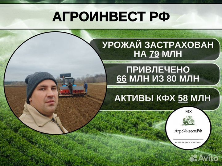 Привлекаем инвестиции, ищу инвестора