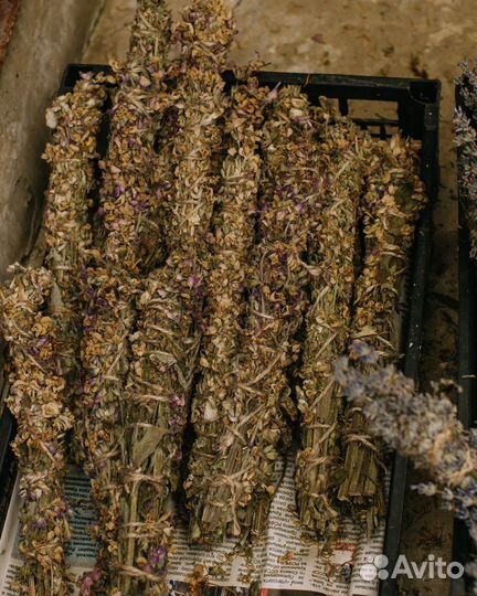 Шалфей. Скрутка. Травы. Окуривание