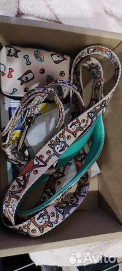 Комплект для выгула собак