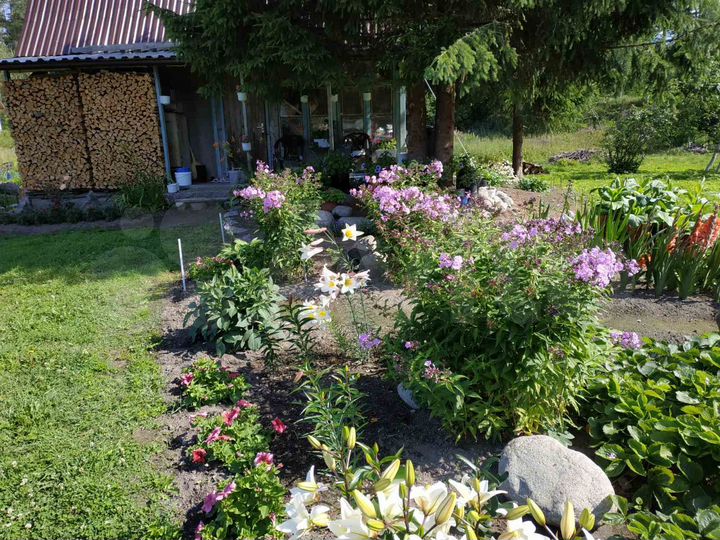 Дом 44,8 м² на участке 20 сот.