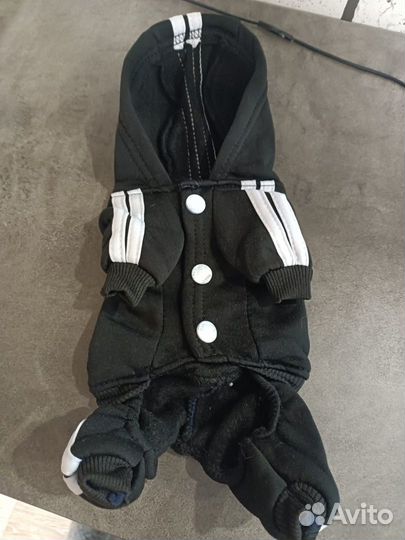 Костюм для маленькой собаки