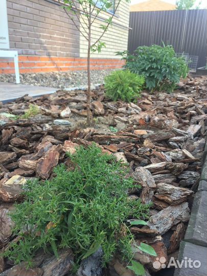 Щепа мульча