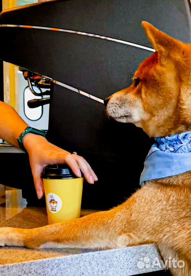 Бариста / бармен / сотрудник зала