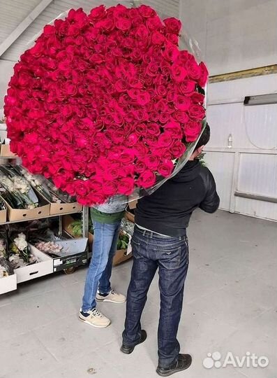 51 Роза, Букеты Цветы Розы 25 101 501 1001