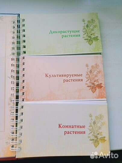 Энциклопедия лекарственных растений