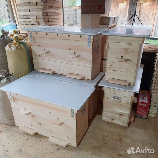 Украинский улей