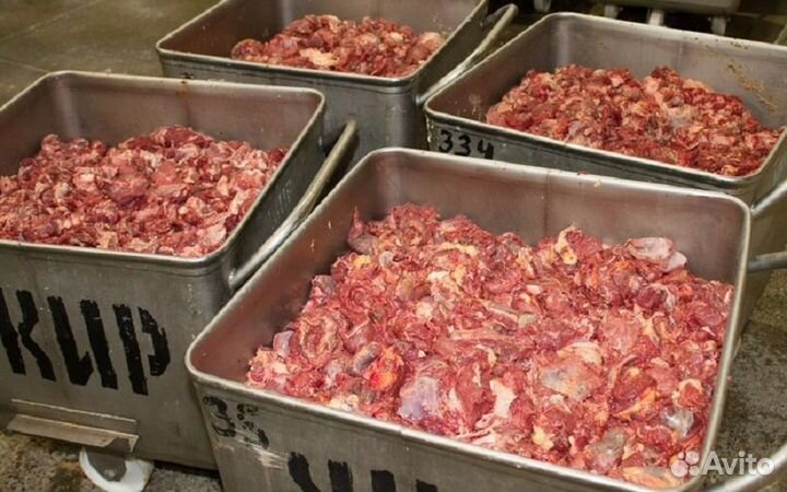 Мастер чистоты на производство