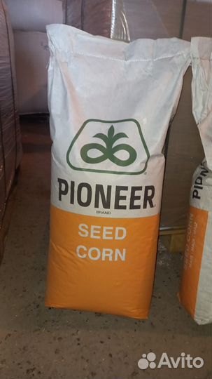Семена кукурузы Рioner