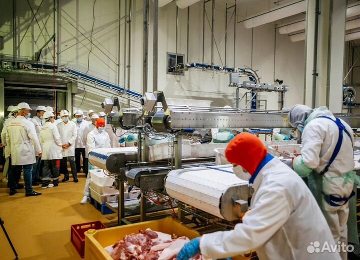 Мираторг вахта