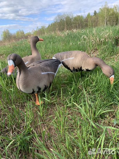 Чучела белолобого гуся North Way Антиблик