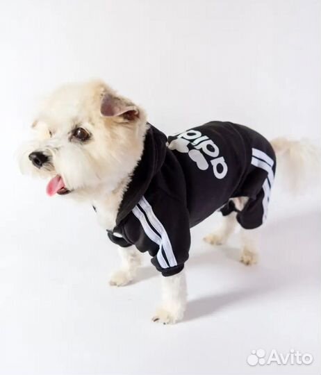 Костюм комбинезон для собак мелких пород