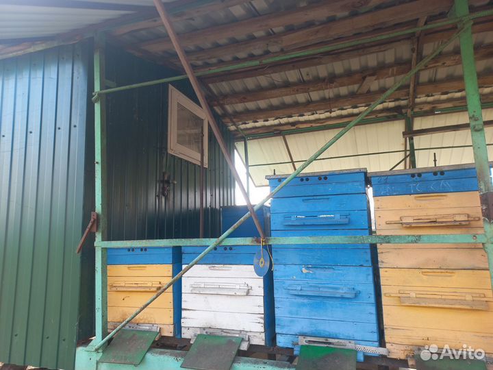 Пчелоприцеп пасека ульи