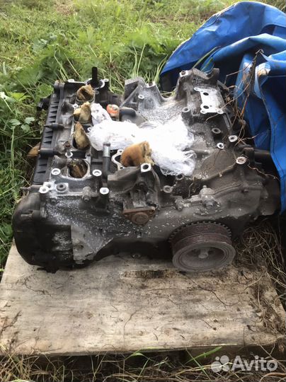 Двигатель Mazda 3 bk 2.0 Ford Focus 2