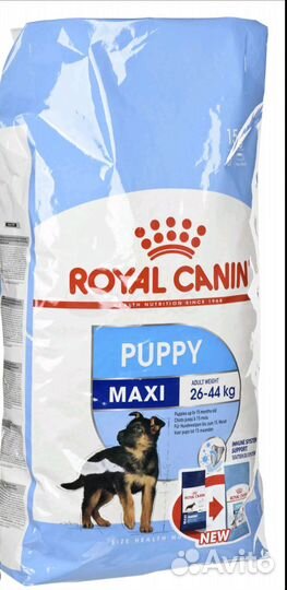 Корм для собак