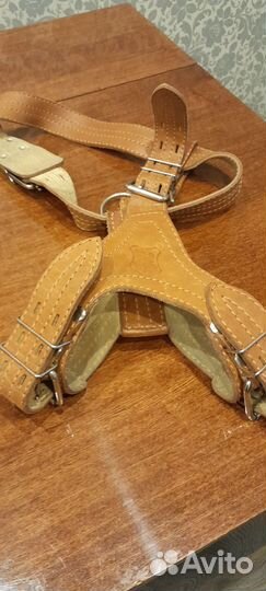 Шлейка для крупной 70,80кг,плюс ошейник с грузами