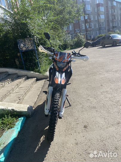 Racer Panther 300