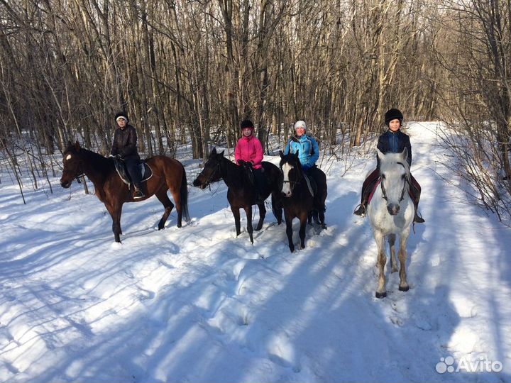 Прокат лошадей в Самаре/Прогулки по лесу верхом