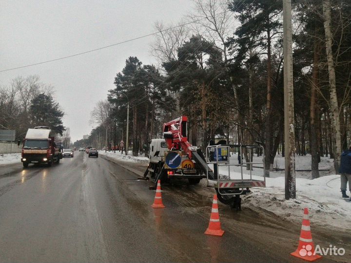 Расчистка участка Спил деревьев Дробилка веток