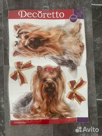 Йоркширский терьер