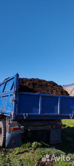 Конский навоз