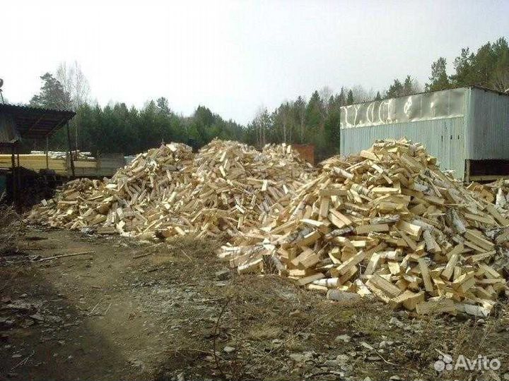 Дрова березовые