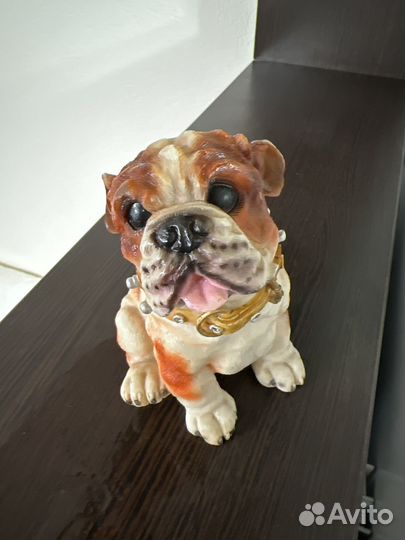 Английский бульдог копилка