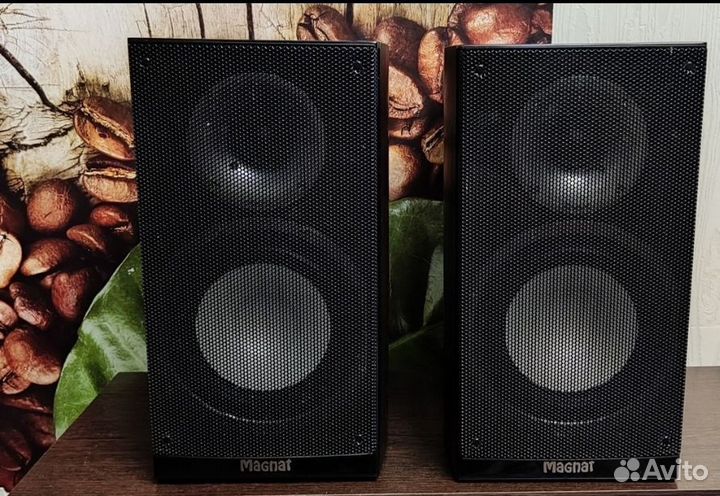 Колонки Magnat Quantum 653