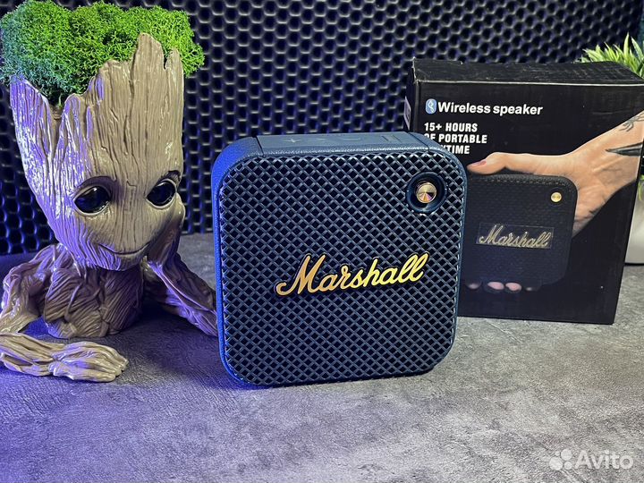 Колонка Marshall Willen