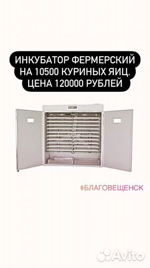 Инкубатор для яиц