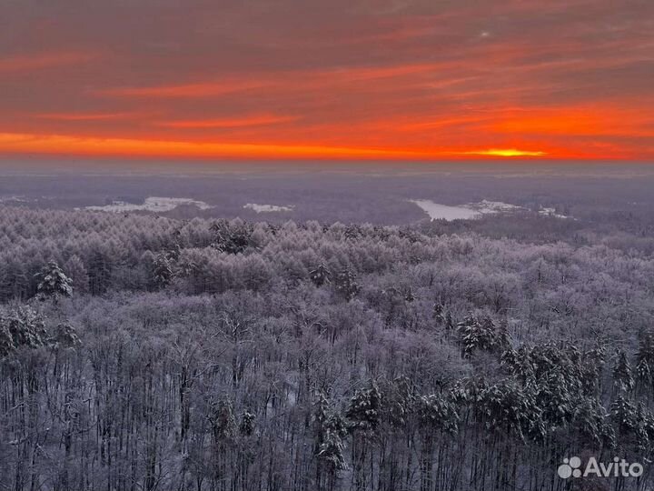 Оформим землю в собственность