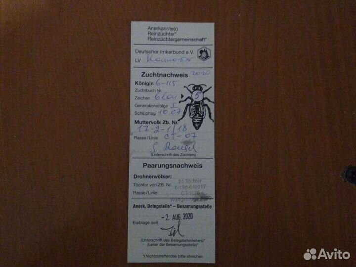Пчеломатки Карника