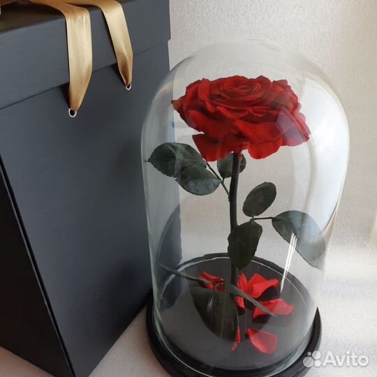 Вечная роза В стеклянной колбе