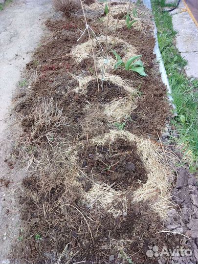 Навоз конский,коровий,козий,курьяк