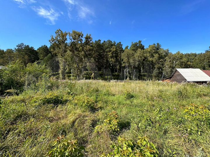 Участок 11,7 сот. (СНТ, ДНП)